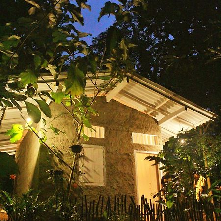 Linu Homestay Dikwella Exteriér fotografie
