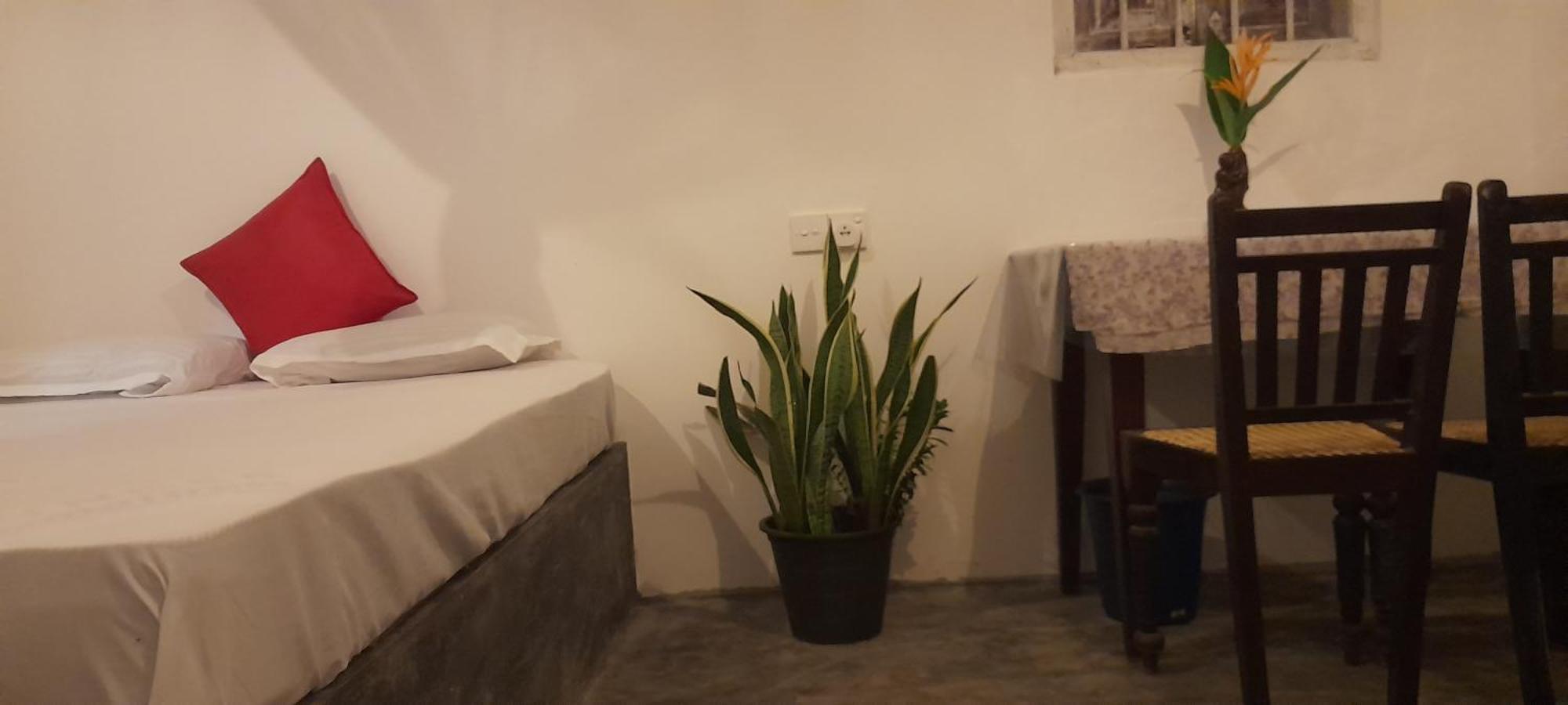Linu Homestay Dikwella Exteriér fotografie