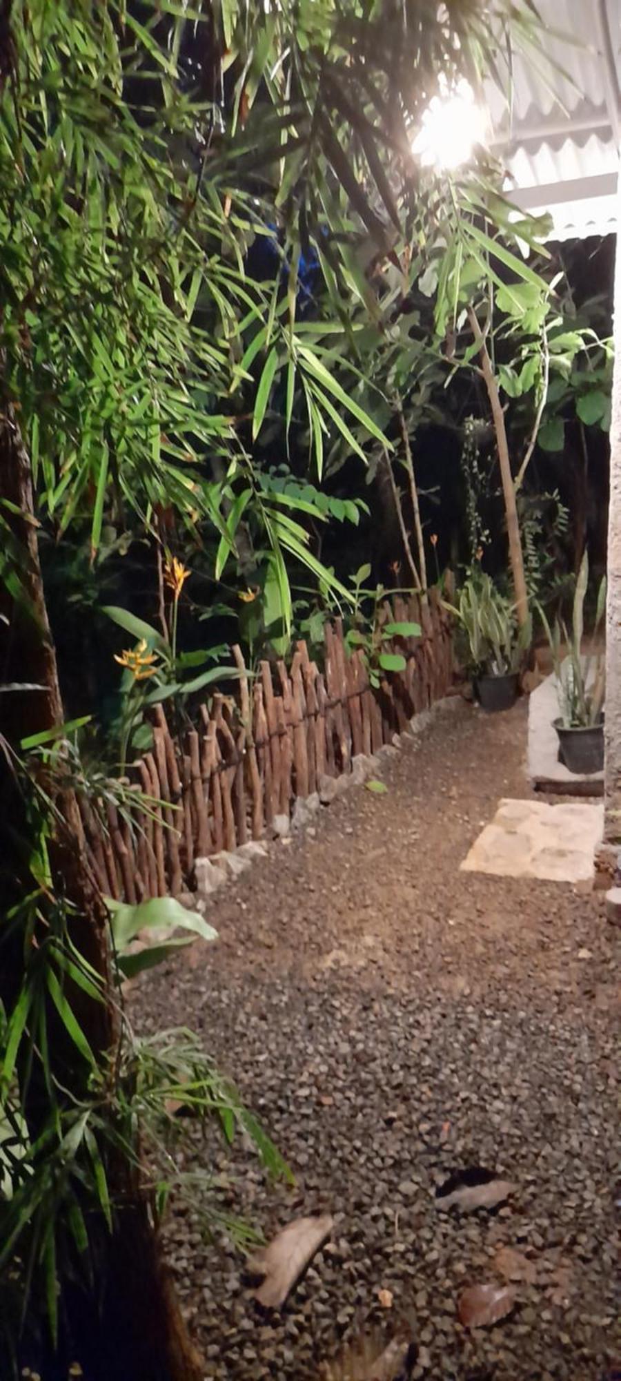 Linu Homestay Dikwella Exteriér fotografie