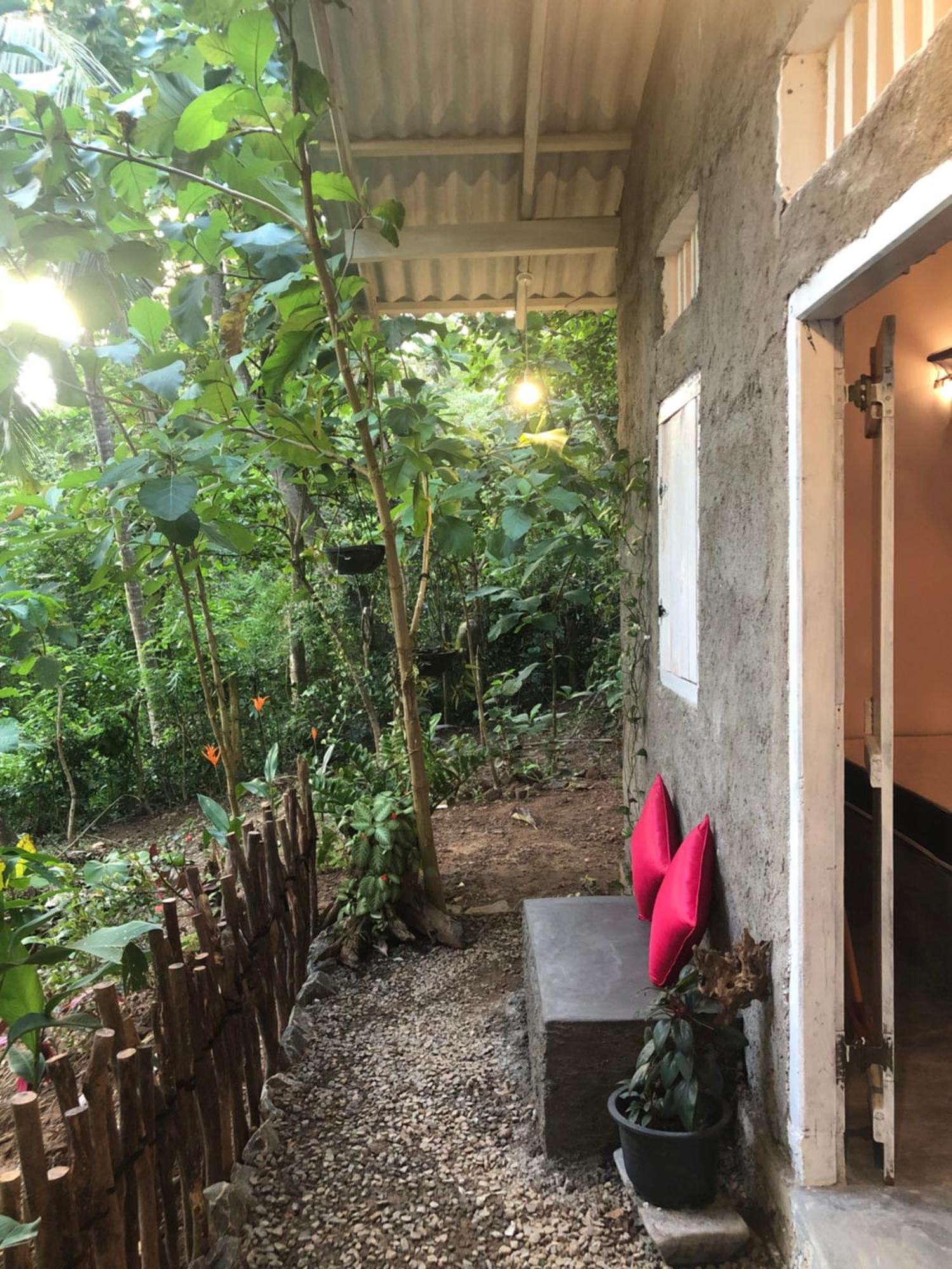 Linu Homestay Dikwella Exteriér fotografie