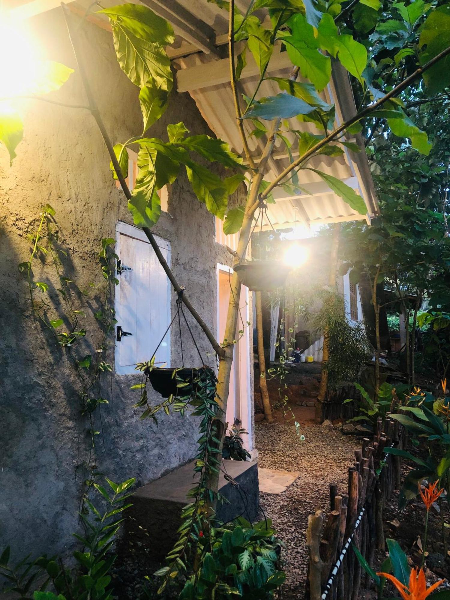Linu Homestay Dikwella Exteriér fotografie